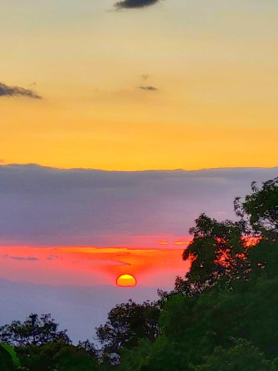 Casa Urraca, Magnifica Vista Al Oceano Pacifico * Monteverde