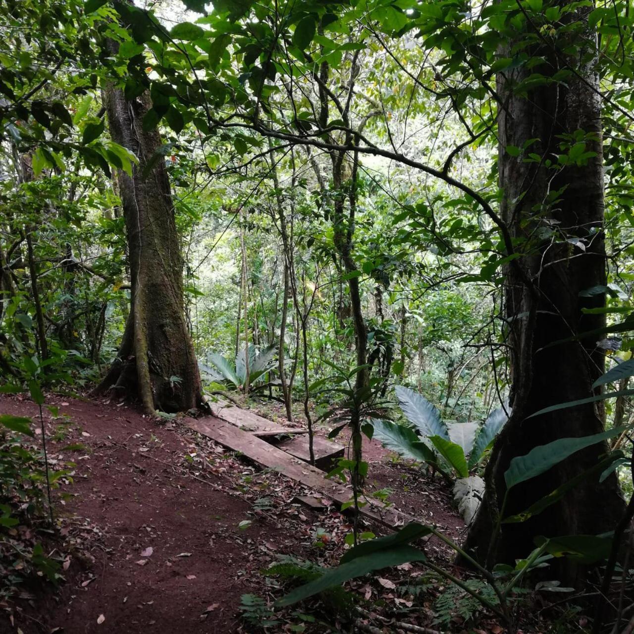 Сasa de vacaciones Casa Urraca, Magnifica Vista Al Oceano Pacifico Monteverde